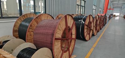 Shandong Jinyu Cable Co., Ltd. manufacturer production line