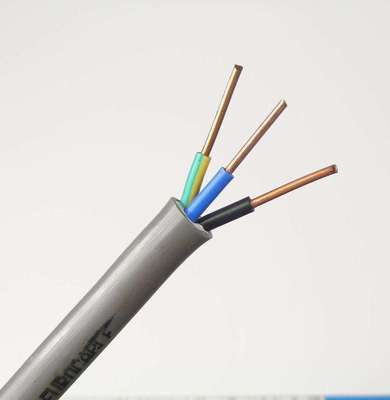 Buy 2.5mm PVC PE Insulated Copper Power Cable 3 Core 220V online manufacture